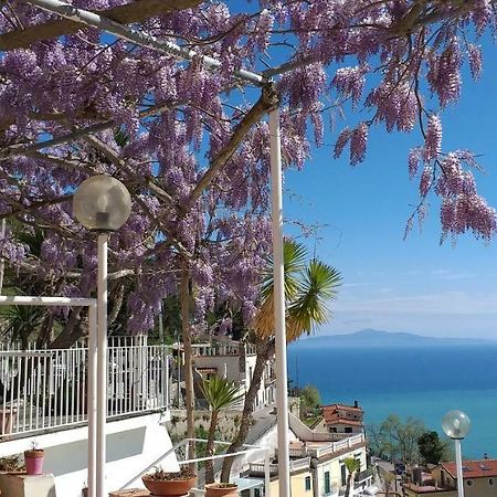 Le Terrazze Di Cristina Bed & Breakfast วิเอตริ ภายนอก รูปภาพ