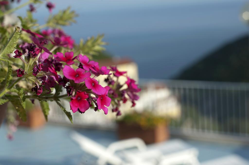 Le Terrazze Di Cristina Bed & Breakfast วิเอตริ ภายนอก รูปภาพ