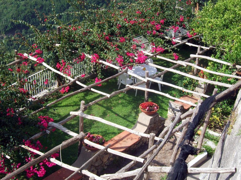 Le Terrazze Di Cristina Bed & Breakfast วิเอตริ ภายนอก รูปภาพ