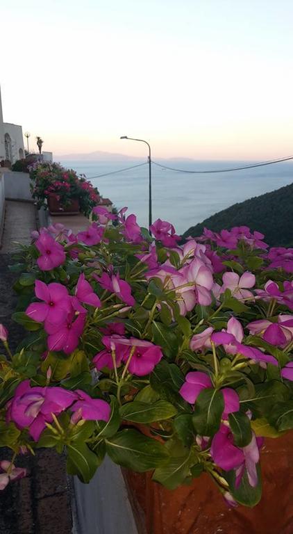 Le Terrazze Di Cristina Bed & Breakfast วิเอตริ ภายนอก รูปภาพ