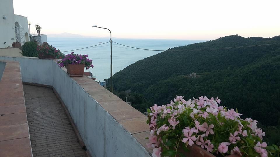 Le Terrazze Di Cristina Bed & Breakfast วิเอตริ ภายนอก รูปภาพ