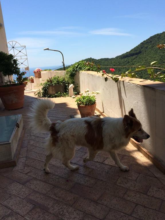 Le Terrazze Di Cristina Bed & Breakfast วิเอตริ ภายนอก รูปภาพ