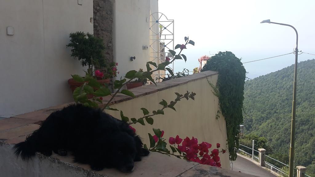 Le Terrazze Di Cristina Bed & Breakfast วิเอตริ ภายนอก รูปภาพ