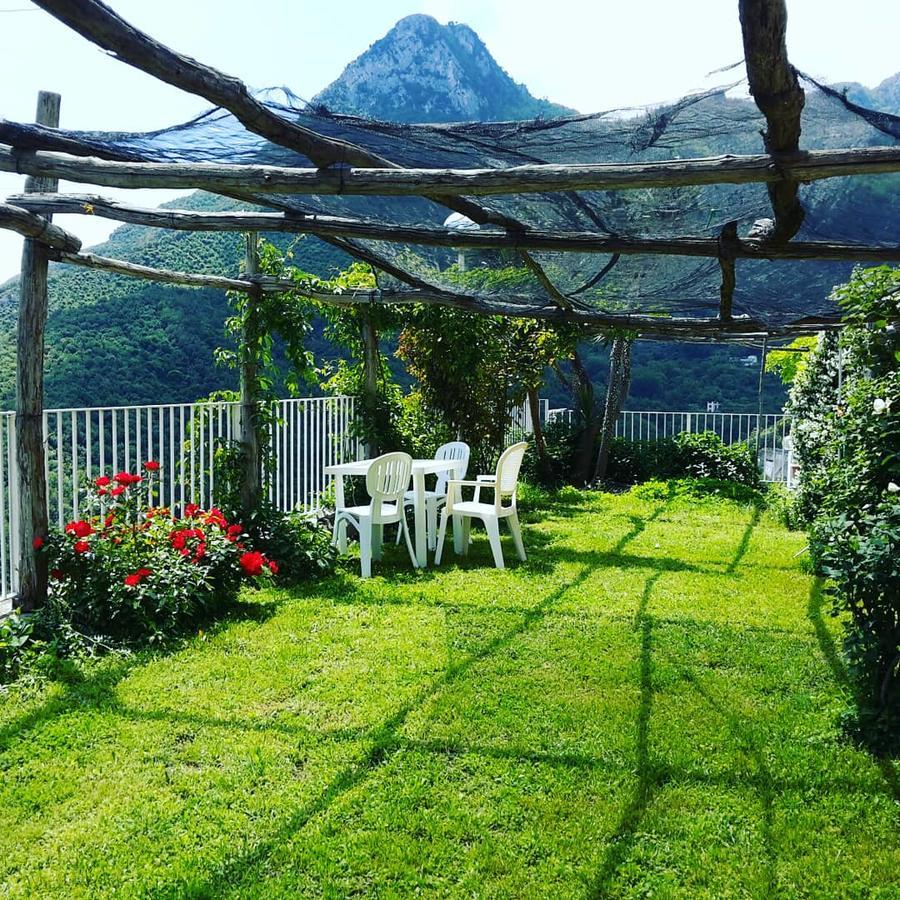 Le Terrazze Di Cristina Bed & Breakfast วิเอตริ ภายนอก รูปภาพ