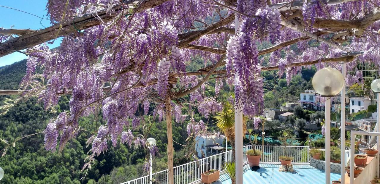 Le Terrazze Di Cristina Bed & Breakfast วิเอตริ ภายนอก รูปภาพ